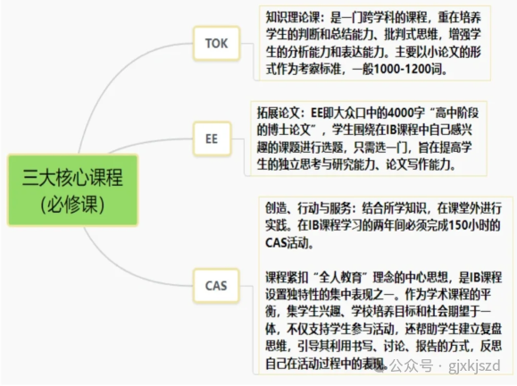 IB课程