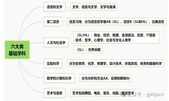 IB课程